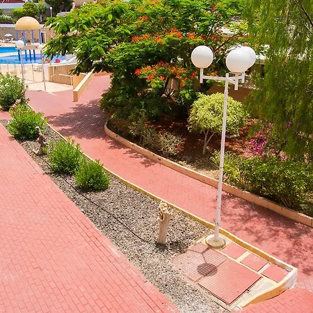 Apartment Playa Torviscas Costa Adeje (Tenerife)